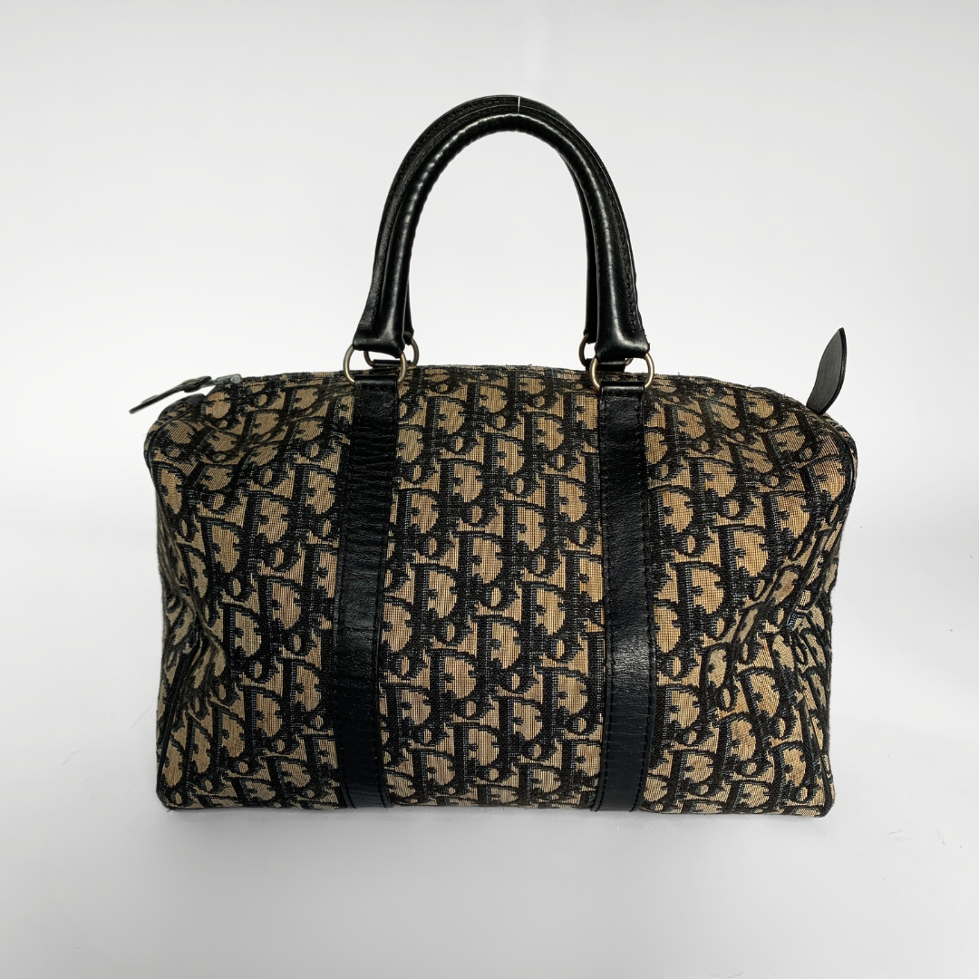 Dior oblique canvas bag hot sale