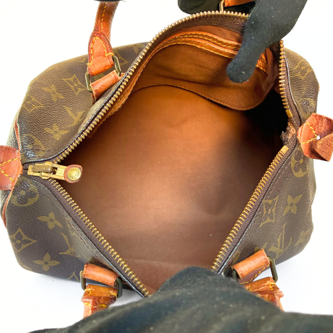 Louis Vuitton Speedy 25 Monogram Canvas