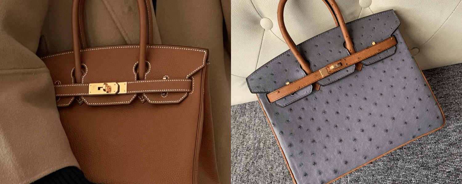 Hermes Blanc Himalayan Himalaya Crocodile Birkin 30 Handbag Bag – MAISON de  LUXE