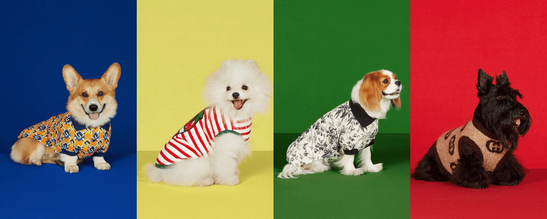 Tilbehør til kæledyr