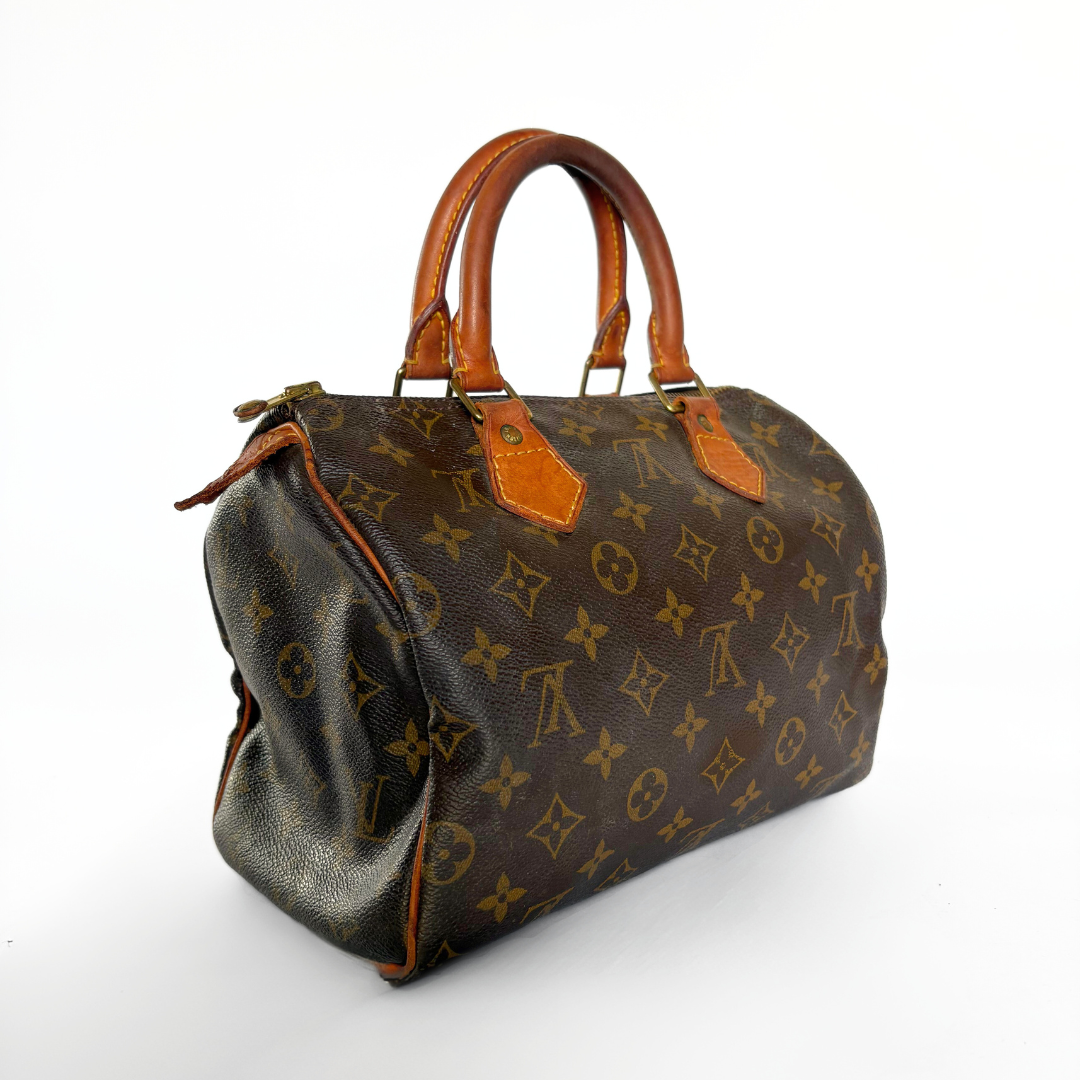 Louis Vuitton Speedy 25 Monogram Canvas