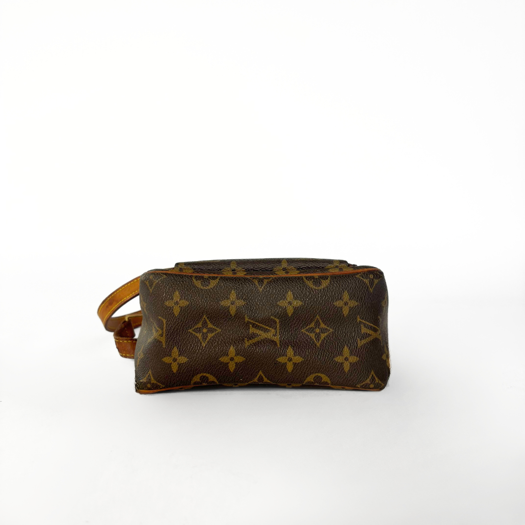 Louis Vuitton Viva Cité PM monogram lærred