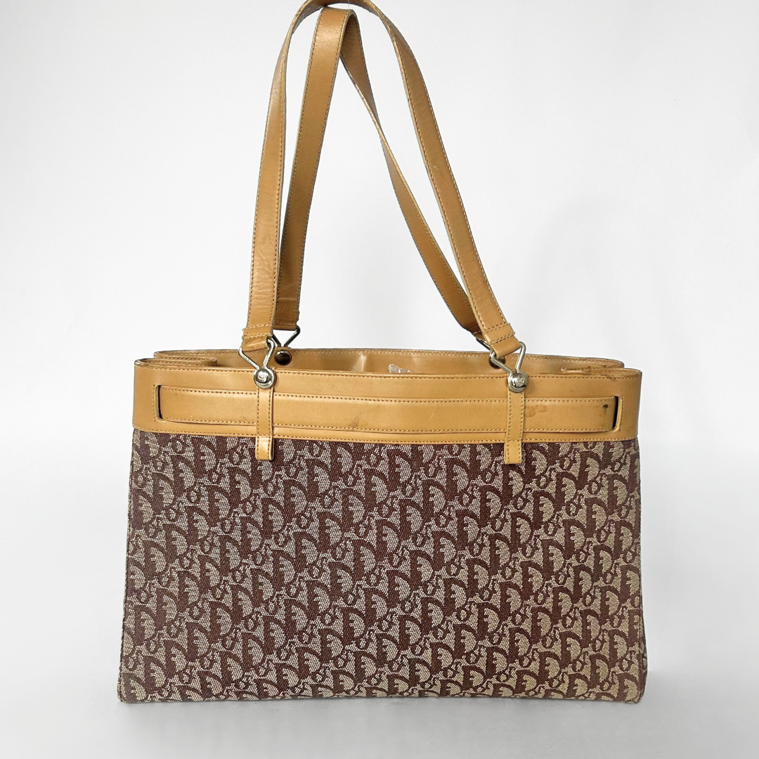 Dior Shopper Oblique Canvas