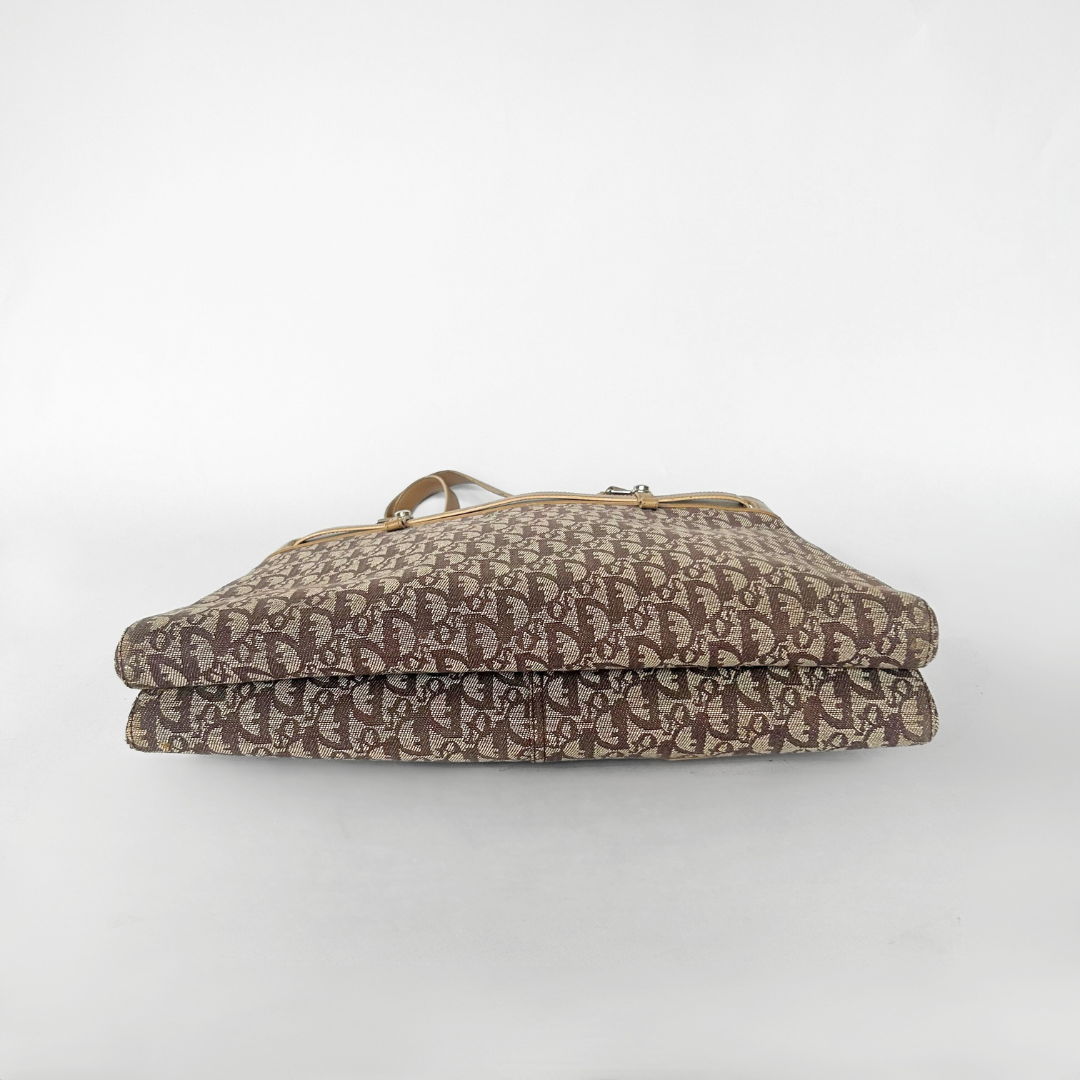 Dior Shopper Oblique Canvas