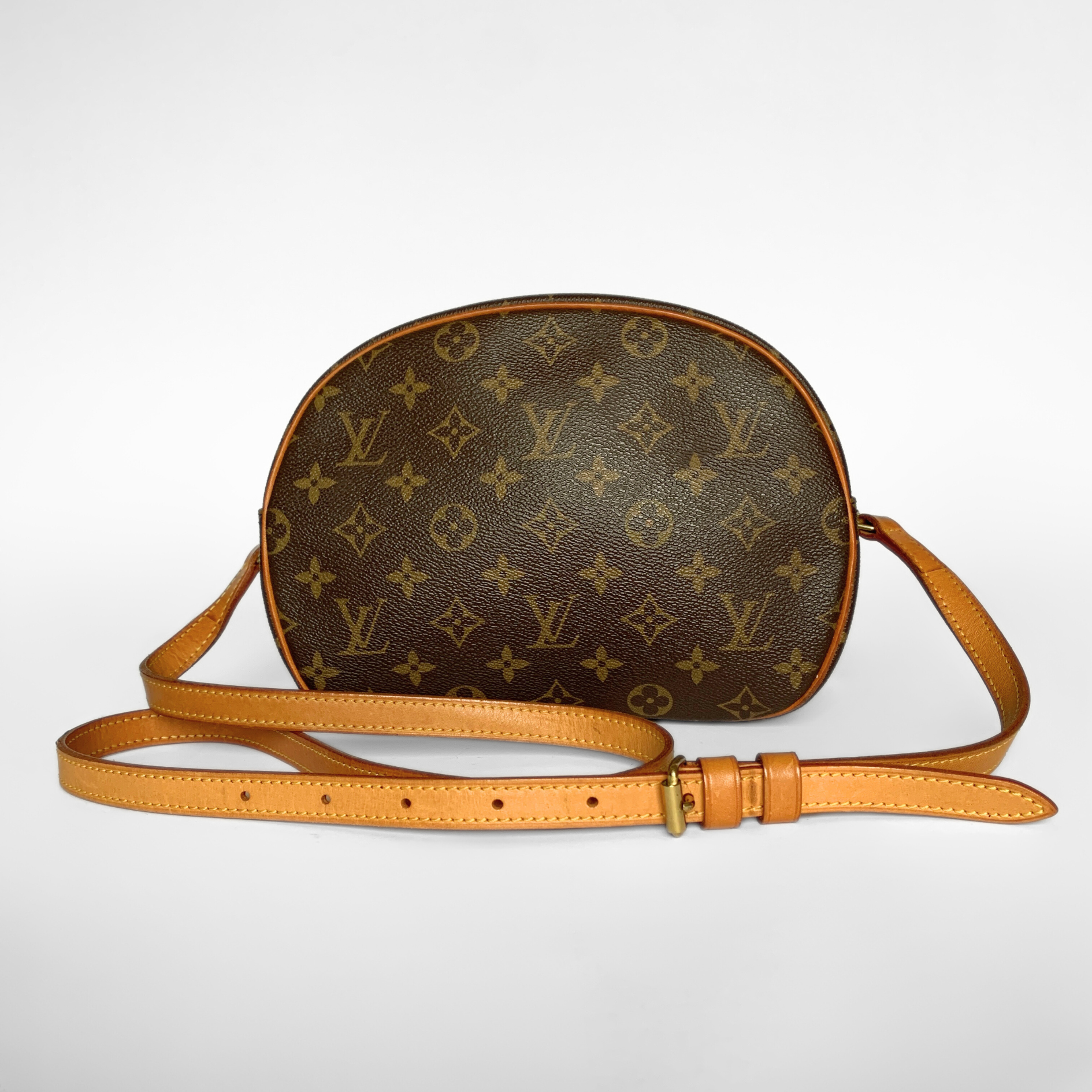 Louis Vuitton Louis Vuitton Blois Toile Monogram Canvas - Crossbody bags - Etoile Luxury Vintage