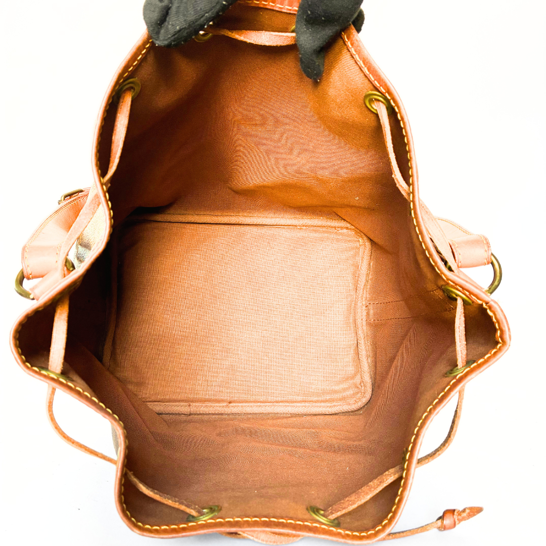 Louis Vuitton Petit Noé Monogram Canvas