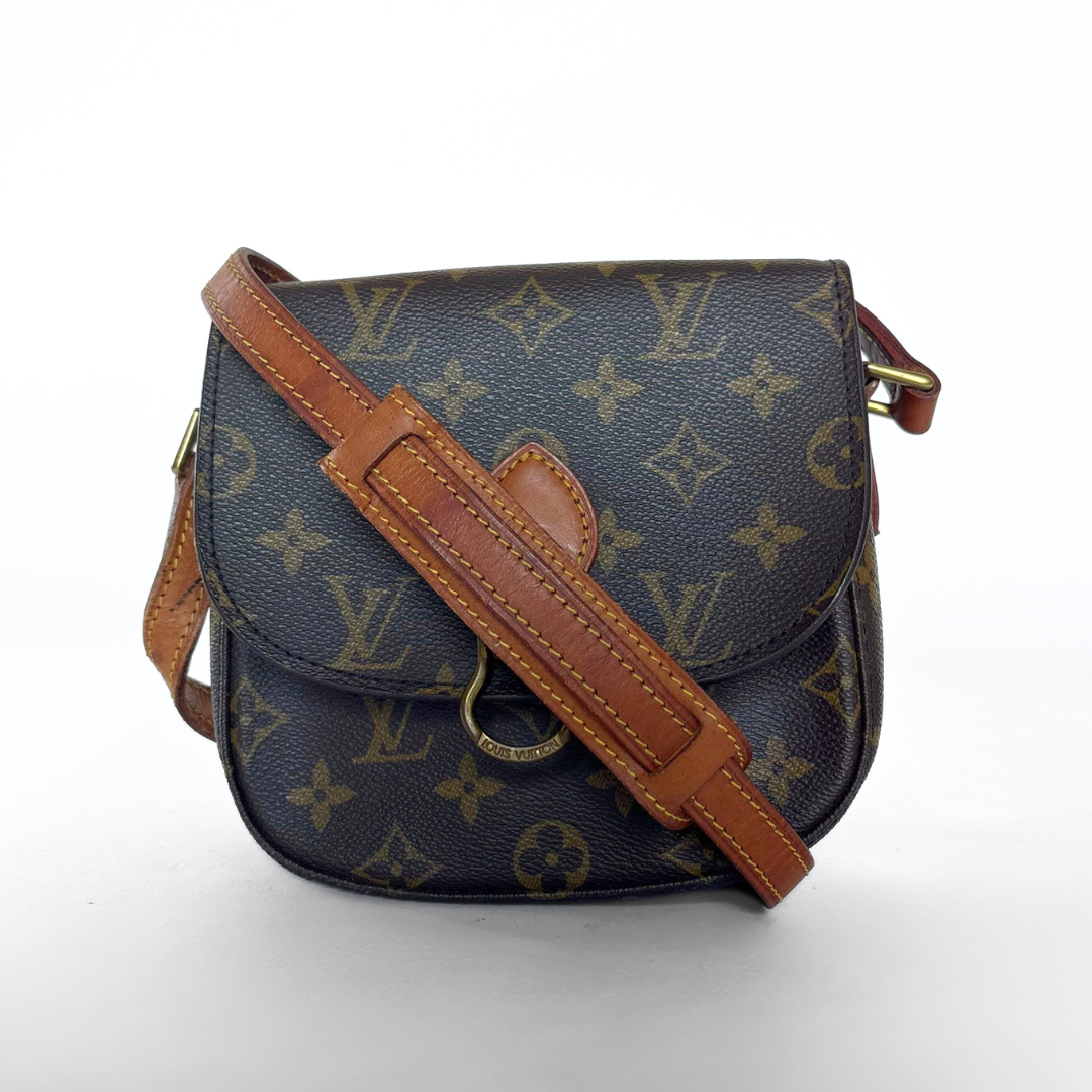 Louis Vuitton Saint Cloud PM Monogram Canvas