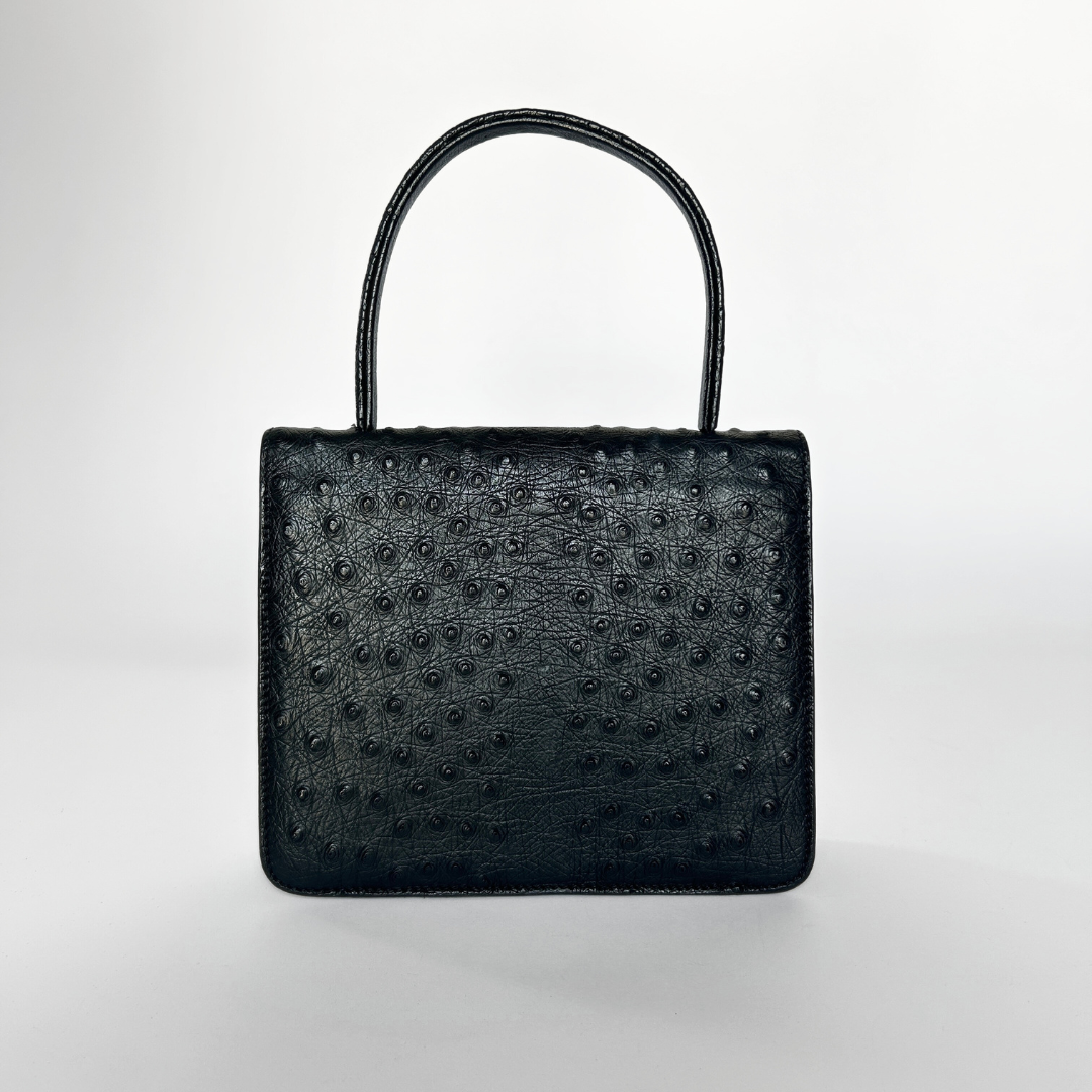 Dior Handbag Ostrich Leather l Etoile de Saint Honore