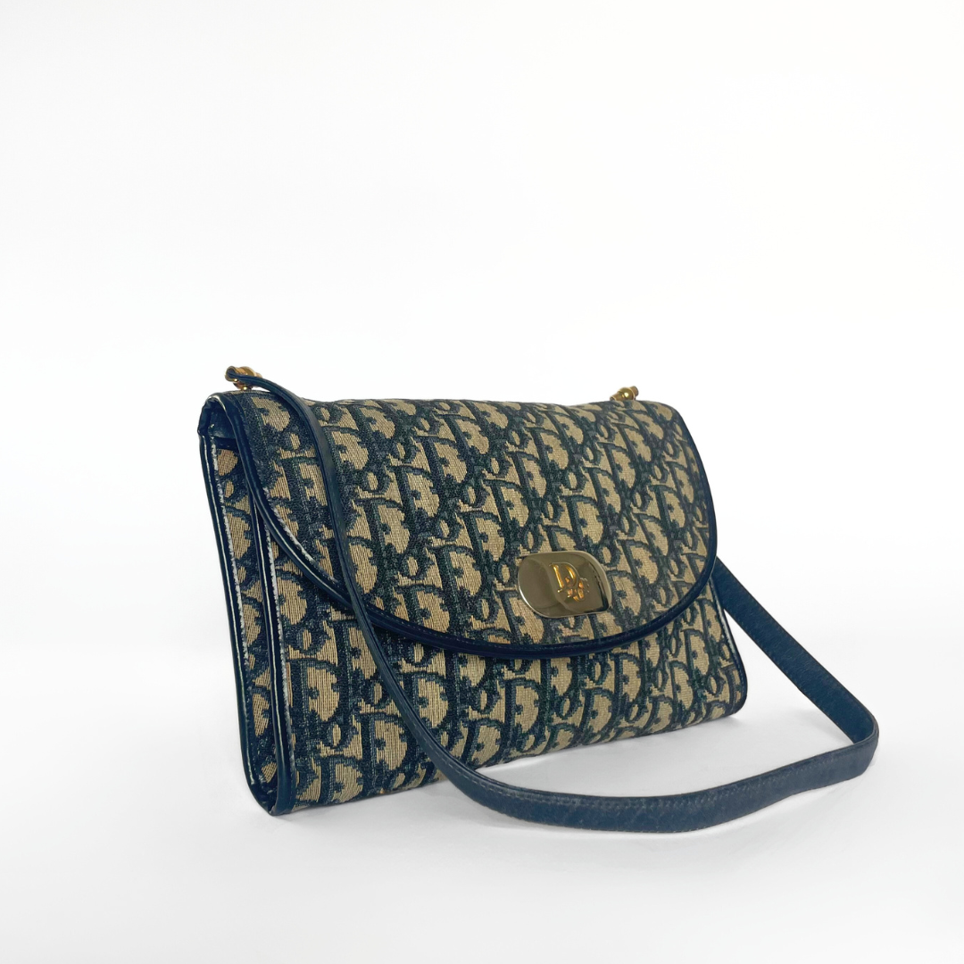 Dior Shoulder Bag Oblique Canvas