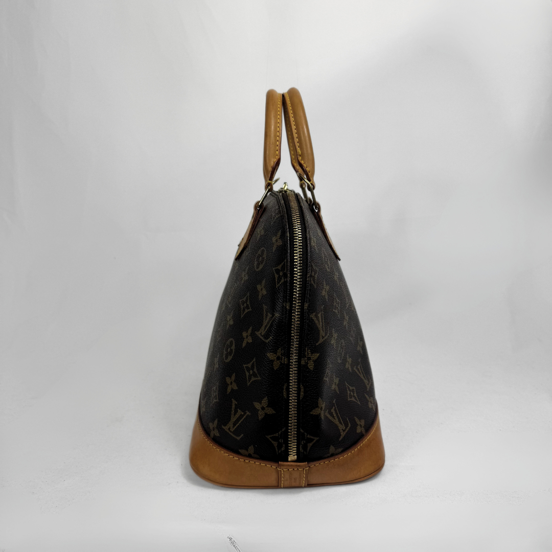 Louis Vuitton monogram canvas Speedy handbag in dark brown with tan leather trim and handles, shown from the back against a white studio background.