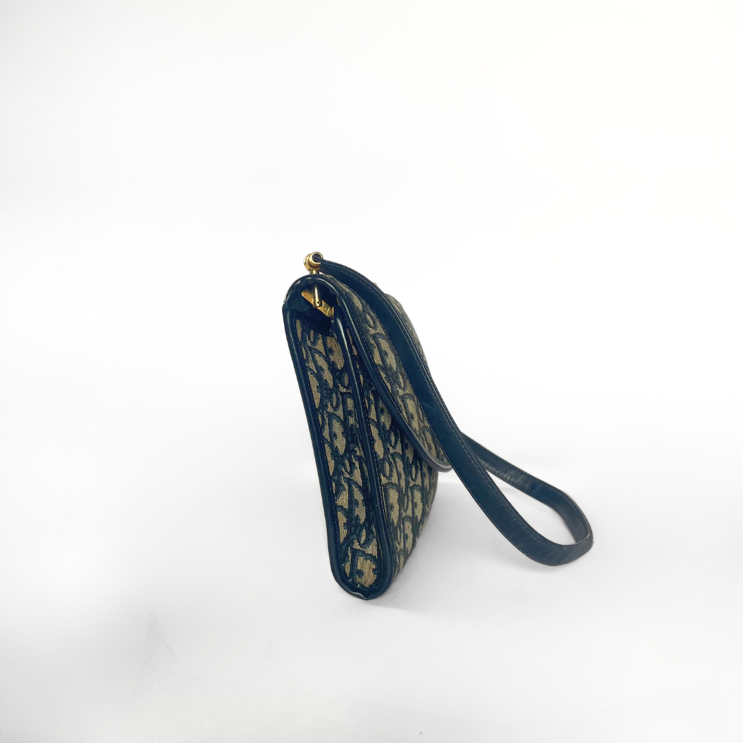 Dior Shoulder Bag Oblique Canvas
