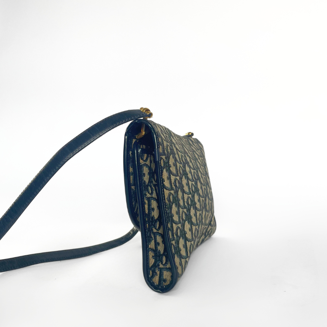Dior Shoulder Bag Oblique Canvas