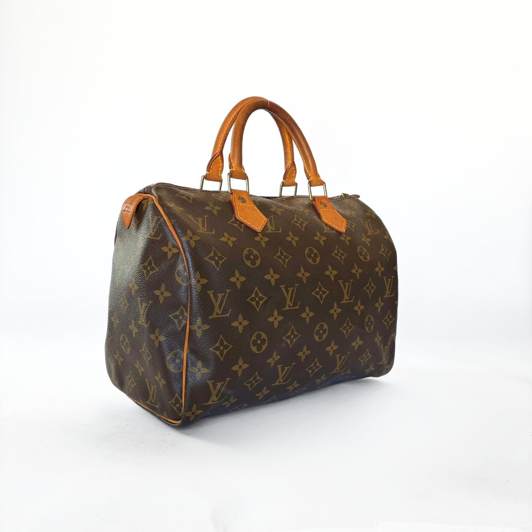 Louis Vuitton Speedy 25 Monogram Canvas