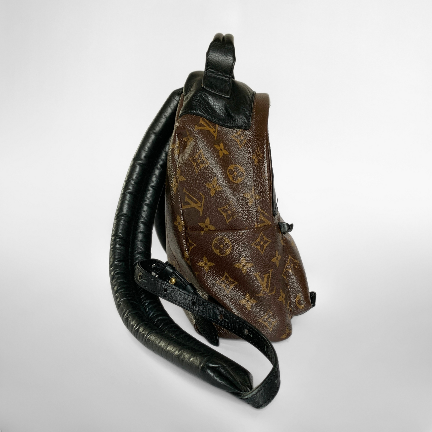 Louis Vuitton Palm Springs Backpack Monogram Canvas