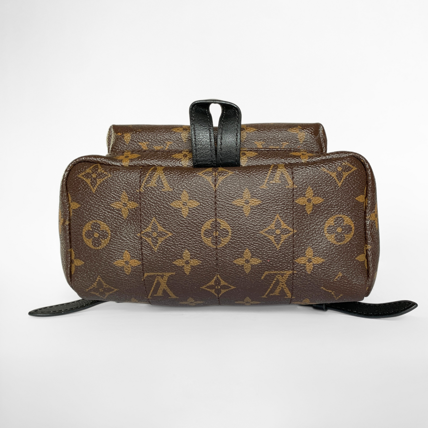 Louis Vuitton Palm Springs Backpack Monogram Canvas