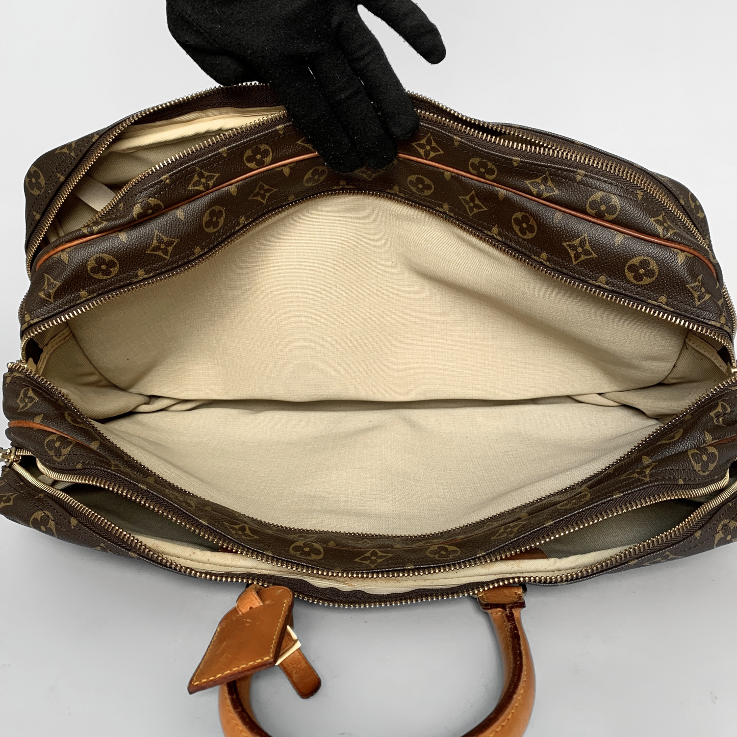 Louis Vuitton Alizé Monogram Canvas