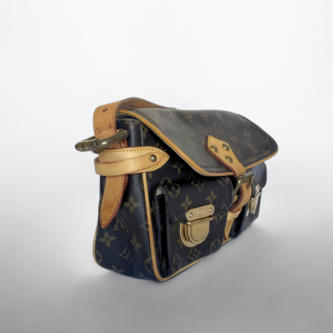 Louis Vuitton Hudson PM Monogram Canvas