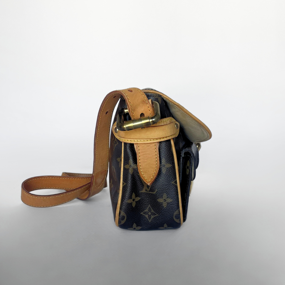 Louis Vuitton Hudson PM Monogram Canvas