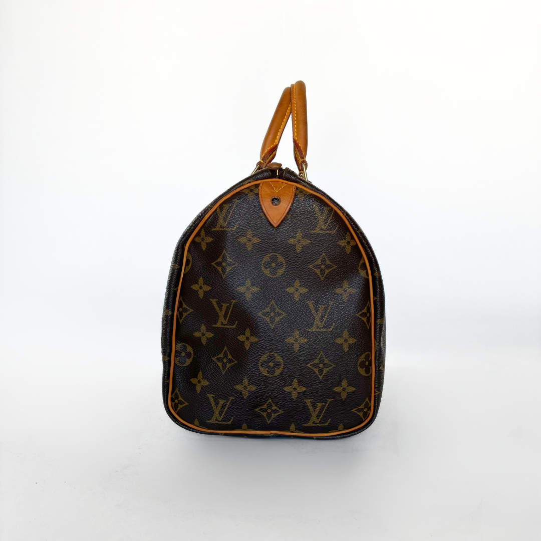 Louis Vuitton Speedy 25 Monogram Canvas