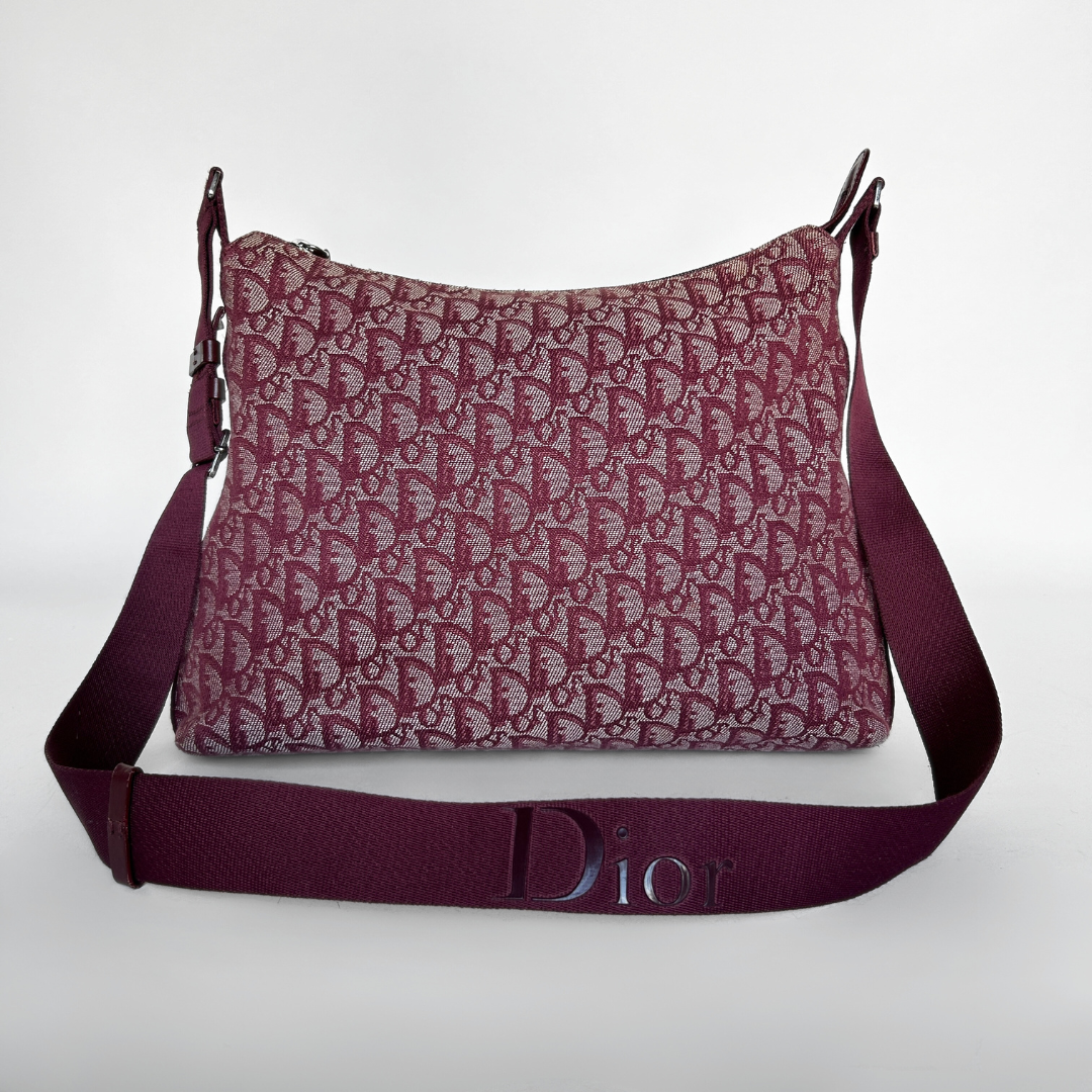 Dior Dior Umhängetasche Oblique Canvas - Handtasche - Etoile Luxury Vintage