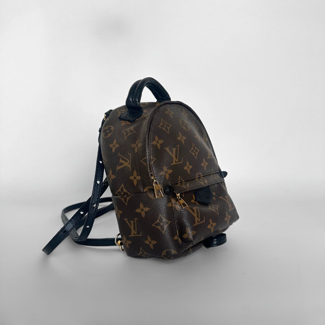 Louis Vuitton Louis Vuitton Palm Springs Monogram Backpack - Backpacks - Etoile Luxury Vintage