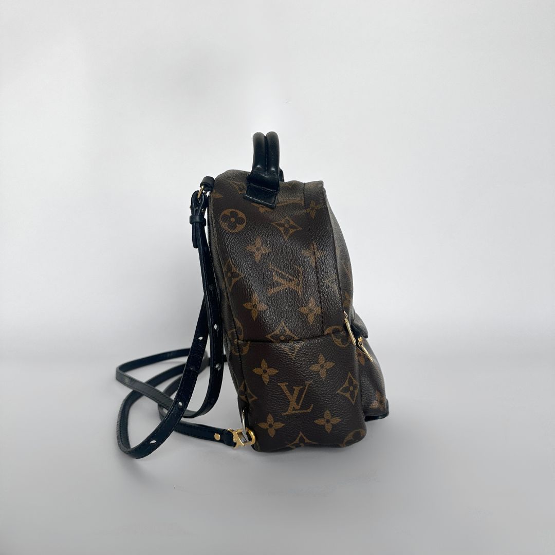 Louis Vuitton Palm Springs Backpack Louis Vuitton Palm Springs Backpack