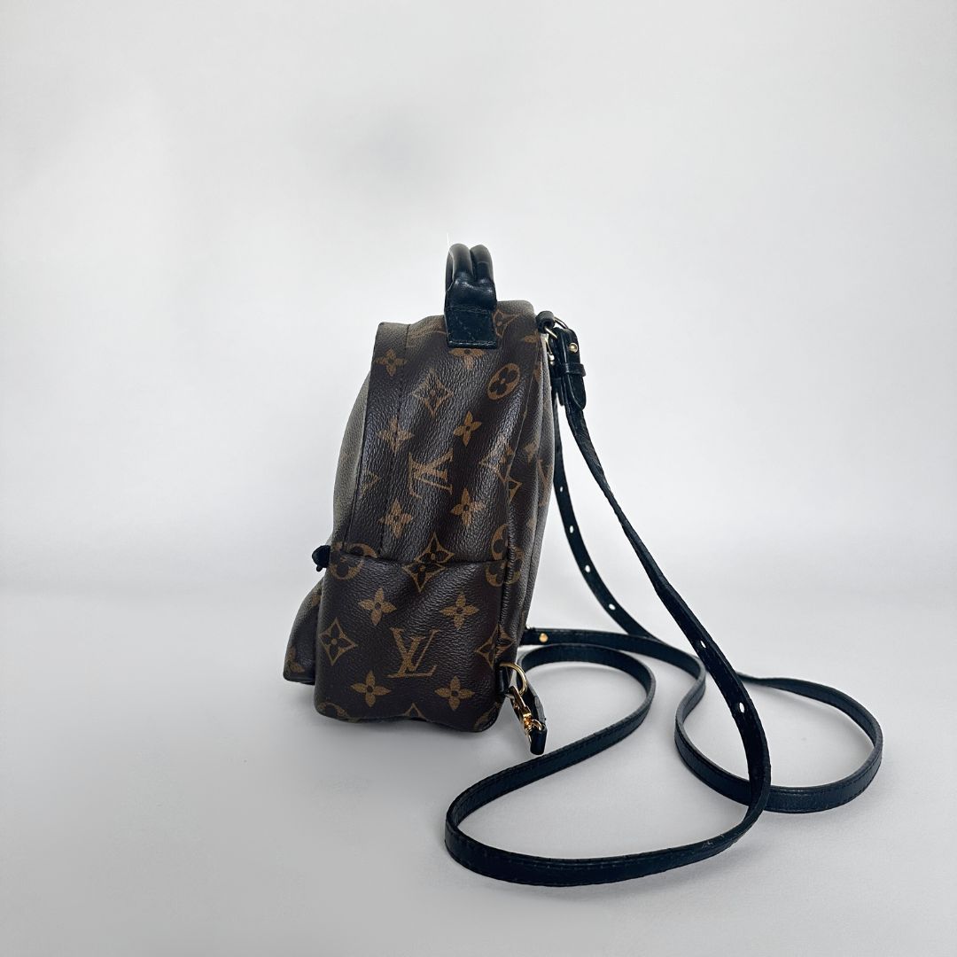 Louis Vuitton Louis Vuitton Palm Springs Monogram Backpack - Backpacks - Etoile Luxury Vintage
