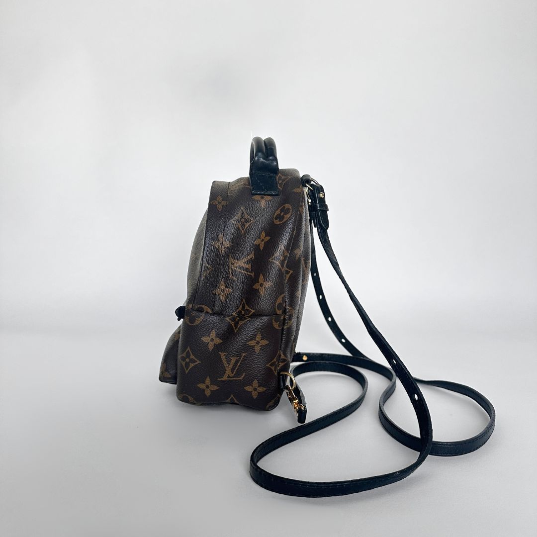 louis vuitton armband backpack Louis Vuitton Palm Springs Backpack