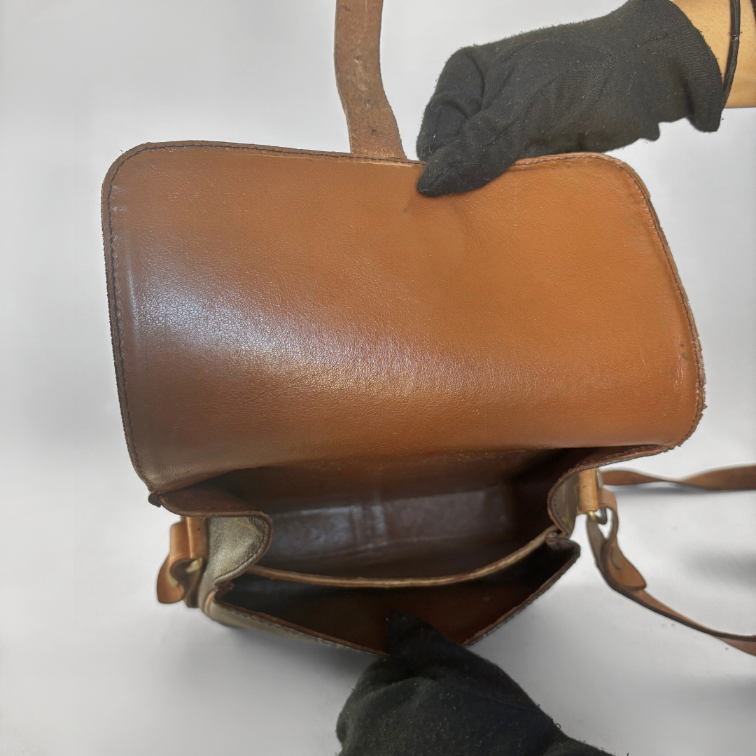 Louis Vuitton Cartouchière MM Monogram Canvas