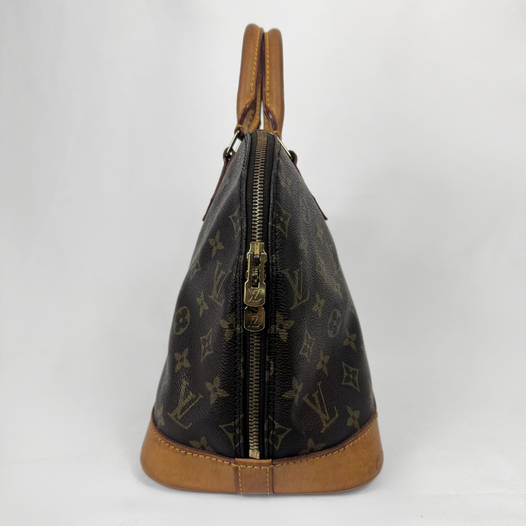 Louis Vuitton monogram Speedy handbag in dark brown coated canvas with tan leather trim and handles, shown from the side on a white background.